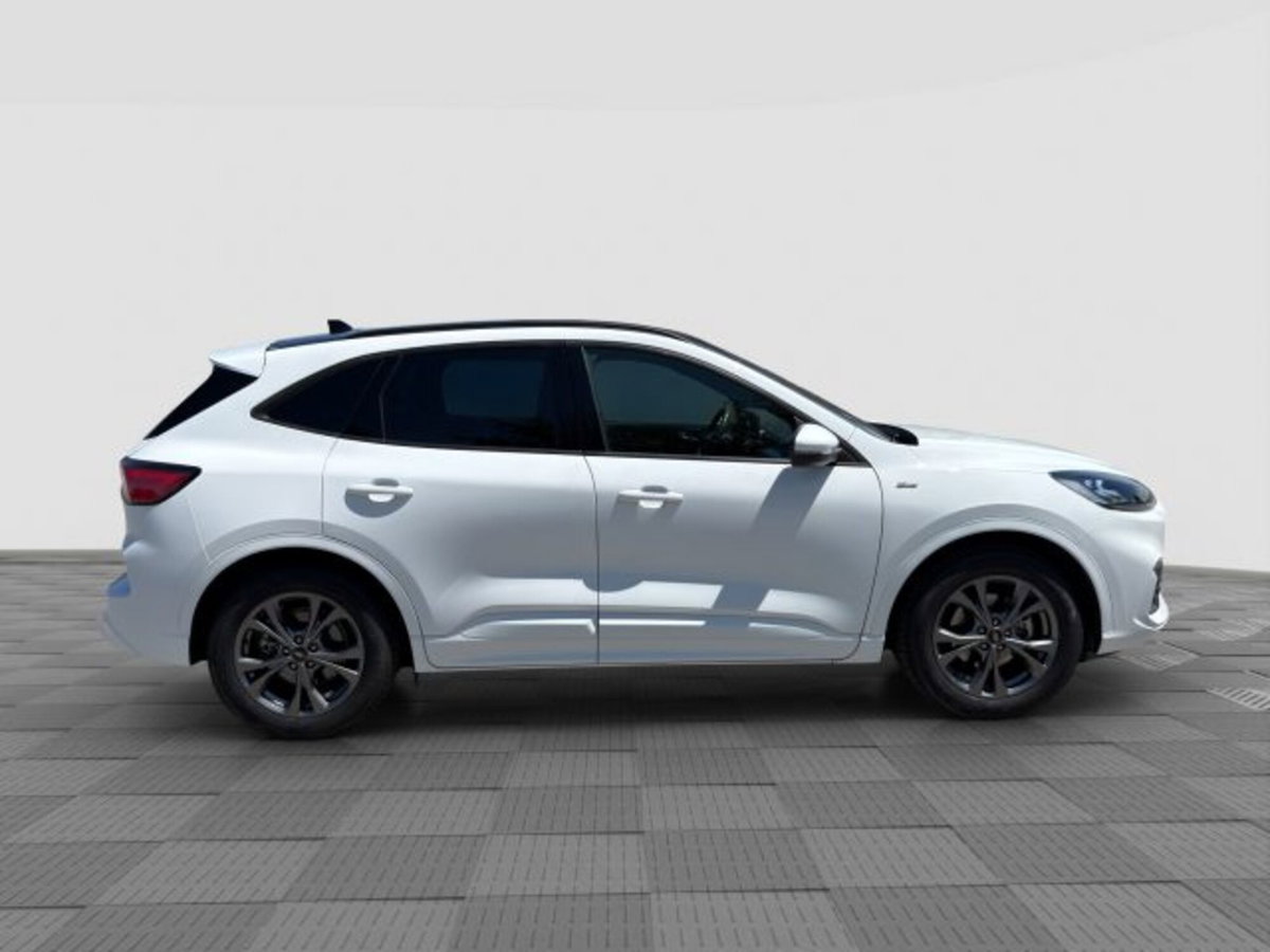 Ford Kuga 1.5 EcoBlue 120 CV 2WD ST-Line (6)