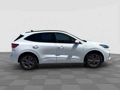 Ford Kuga 1.5 EcoBlue 120 CV 2WD ST-Line (6)