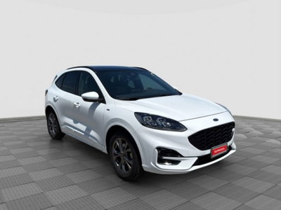 Ford Kuga 1.5 EcoBlue 120 CV 2WD ST-Line (7)