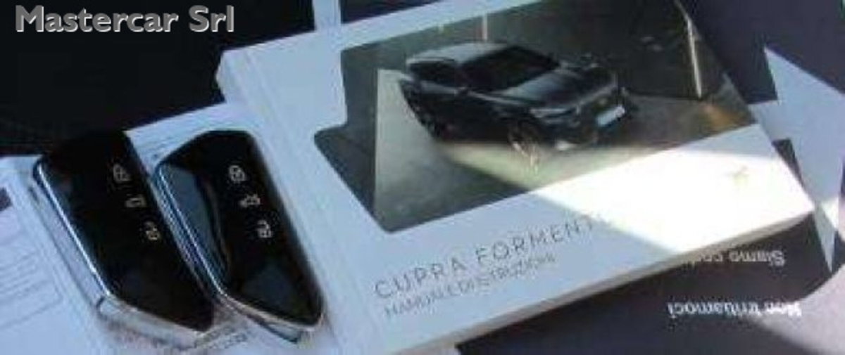 Cupra Formentor Formentor 2.0 TDI (12)