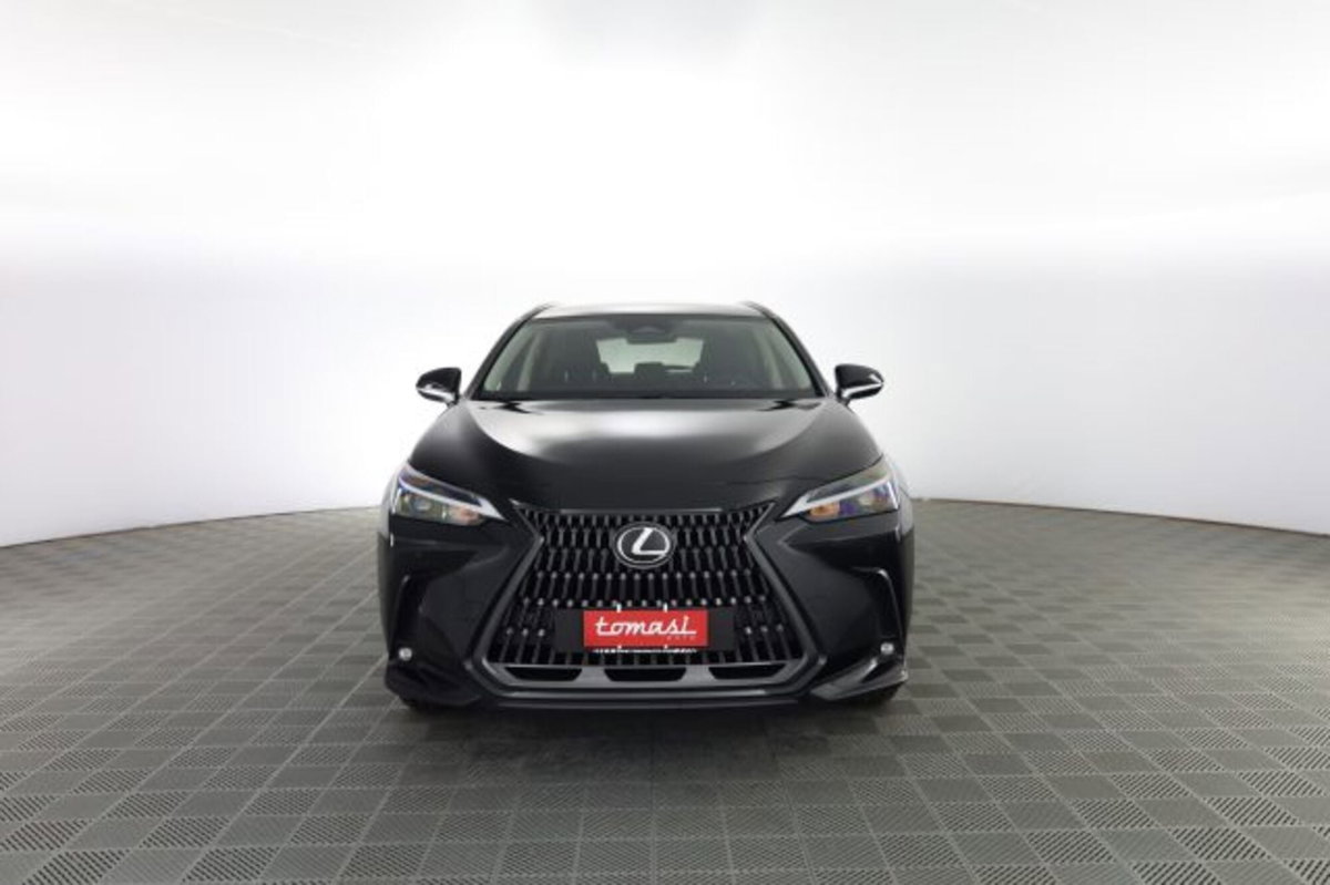 Lexus NX Hybrid 4WD Premium