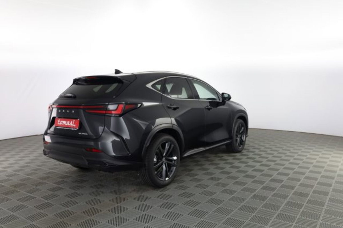 Lexus NX Hybrid 4WD Premium (4)