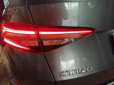 Skoda Kodiaq 2.0 TDI EVO SCR 4x4 DSG 7 posti Executive (14)