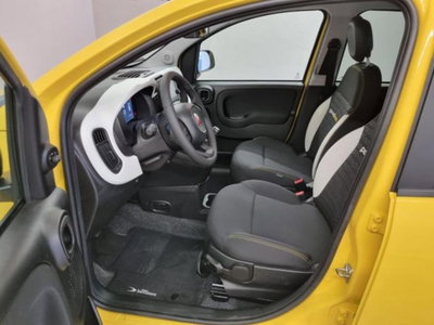 Fiat Panda Cross 1.0 firefly hybrid Cross s&s 70cv 5p.ti (10)