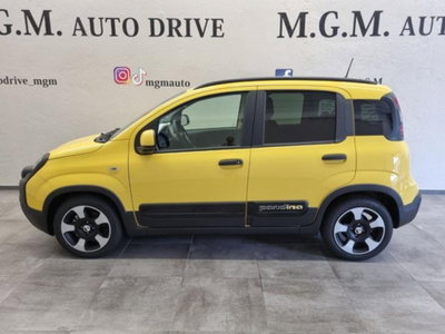Fiat Panda Cross 1.0 firefly hybrid Cross s&s 70cv 5p.ti (2)