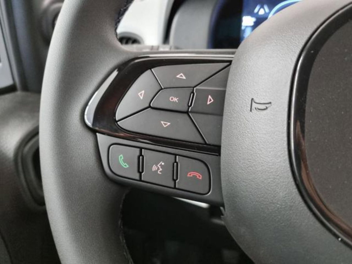 Fiat Panda Cross 1.0 firefly hybrid Cross s&s 70cv 5p.ti (20)