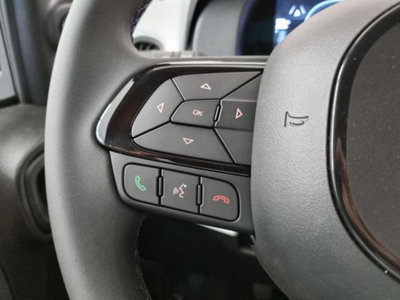 Fiat Panda Cross 1.0 firefly hybrid Cross s&s 70cv 5p.ti (20)