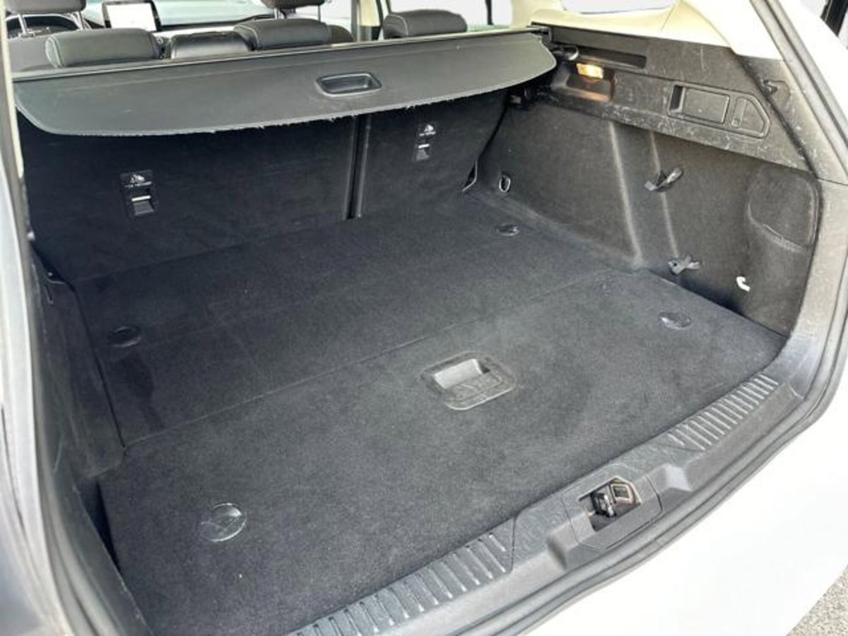 Ford Focus Station Wagon 1.5 EcoBlue 95 CV SW Business (14)