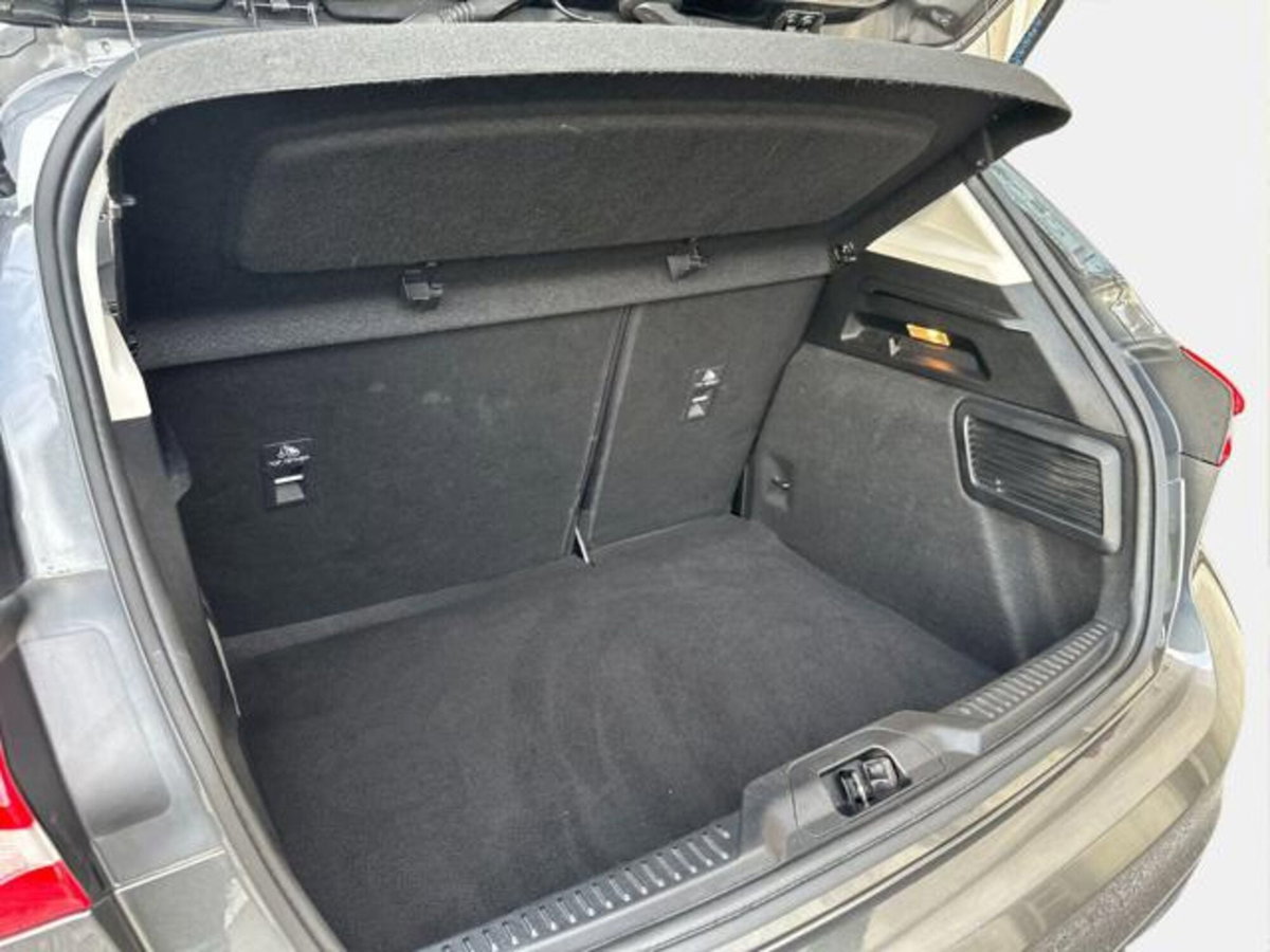 Ford Focus 1.5 EcoBlue 120 CV 5p. Business (14)