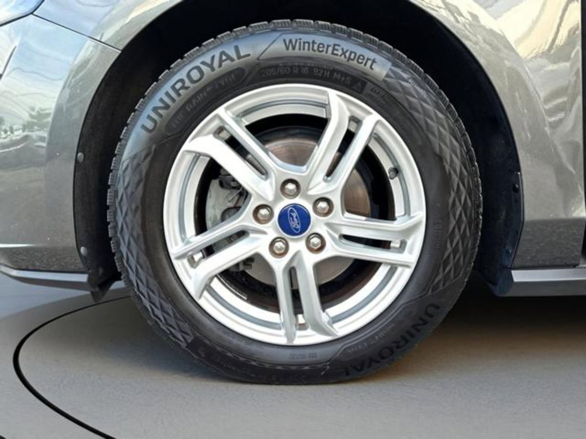 Ford Focus 1.5 EcoBlue 120 CV 5p. Business (15)