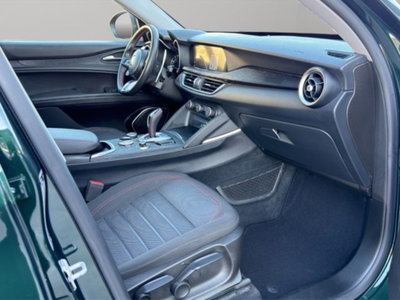 Alfa Romeo Stelvio Stelvio 2.2 Turbodiesel 190 CV AT8 Q4 Super Business (9)