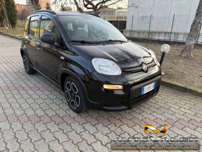 Fiat Panda 1.0 firefly hybrid s&s 70cv 5p.ti usata