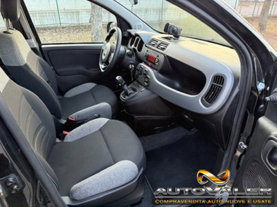 Fiat Panda 1.0 firefly hybrid s&s 70cv 5p.ti (9)