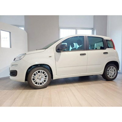 Fiat Pandina 1.0 firefly hybrid s&s 70cv (2)