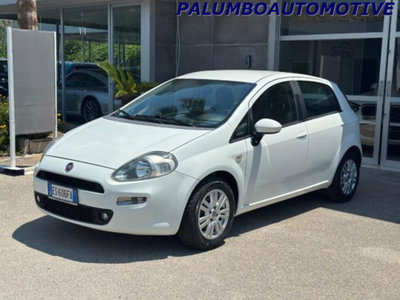 Fiat Punto 1.3 MJT II 75 CV 5 porte Lounge (3)