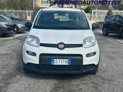 Fiat Panda 1.0 firefly hybrid s&s 70cv 5p.ti (2)
