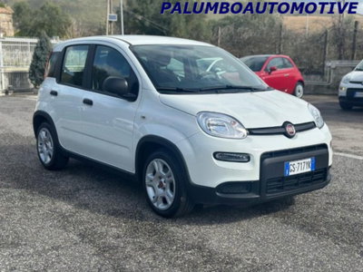 Fiat Panda 1.0 firefly hybrid s&s 70cv 5p.ti (3)
