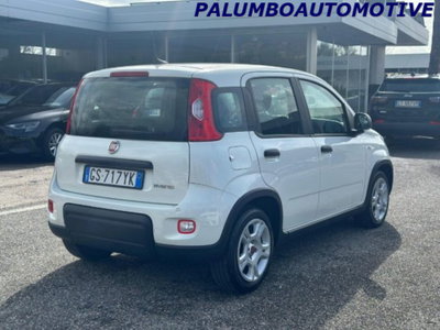 Fiat Panda 1.0 firefly hybrid s&s 70cv 5p.ti (4)