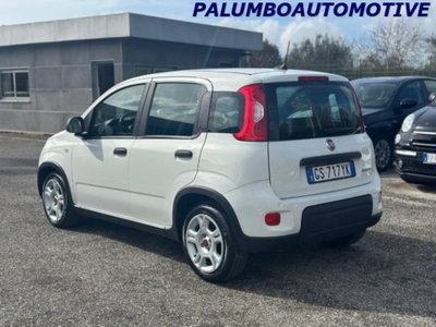 Fiat Panda 1.0 firefly hybrid s&s 70cv 5p.ti (5)