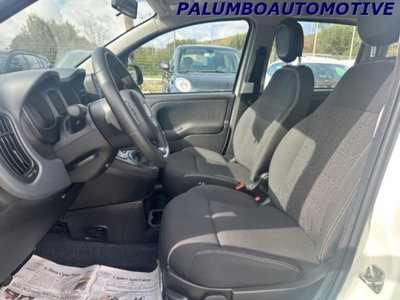 Fiat Panda 1.0 firefly hybrid s&s 70cv 5p.ti (7)