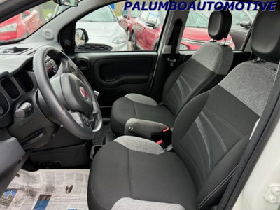 Fiat Panda 1.0 firefly hybrid s&s 70cv 5p.ti (10)