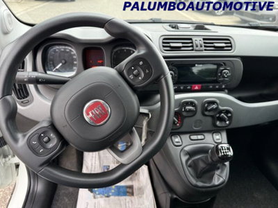 Fiat Panda 1.0 firefly hybrid s&s 70cv 5p.ti (11)