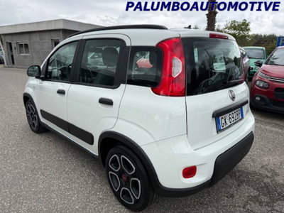 Fiat Panda 1.0 firefly hybrid s&s 70cv 5p.ti (5)