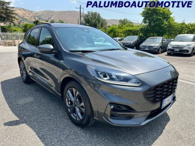 Ford Kuga 1.5 EcoBlue 120 CV 2WD ST-Line (2)