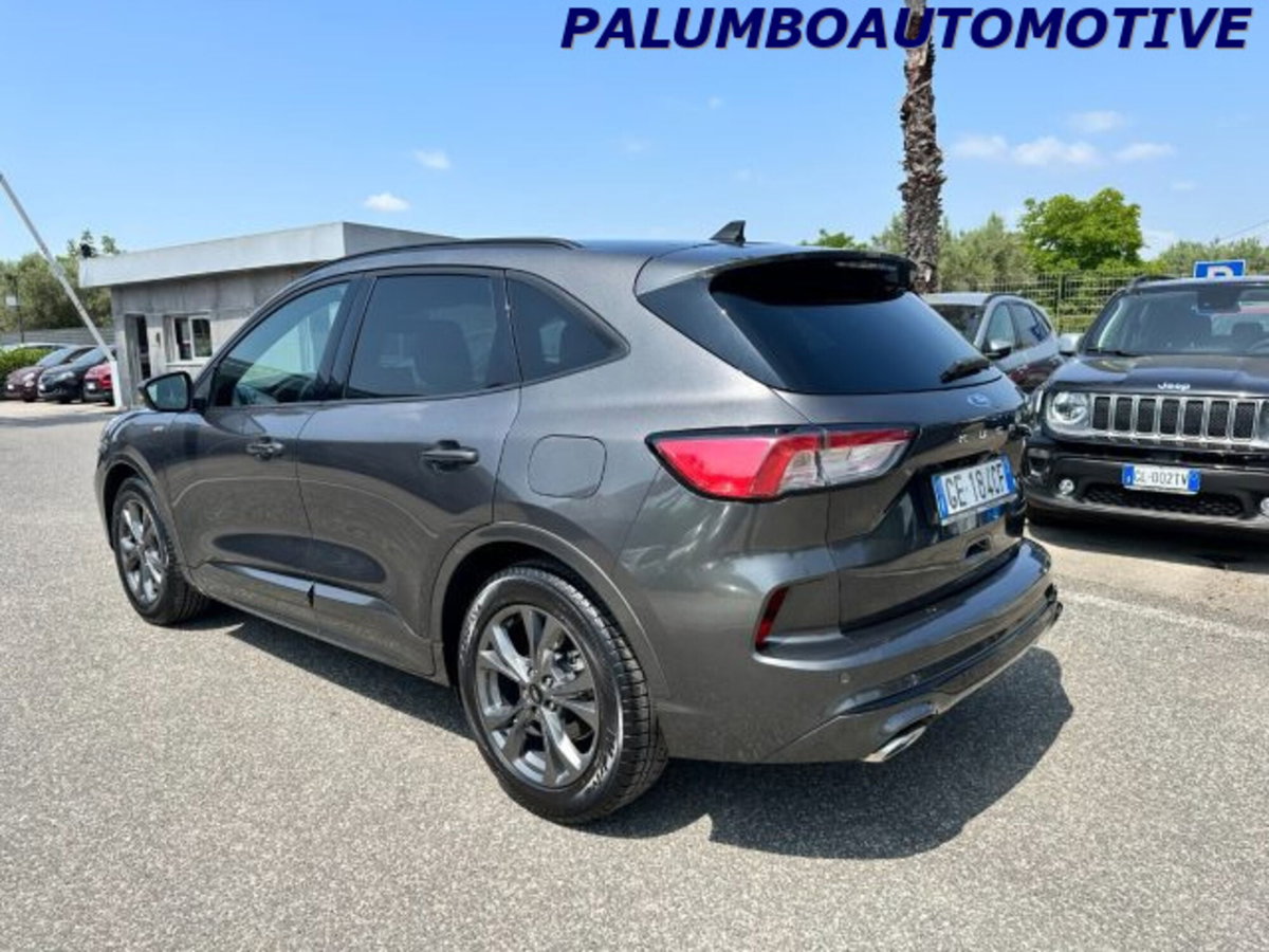 Ford Kuga 1.5 EcoBlue 120 CV 2WD ST-Line (4)