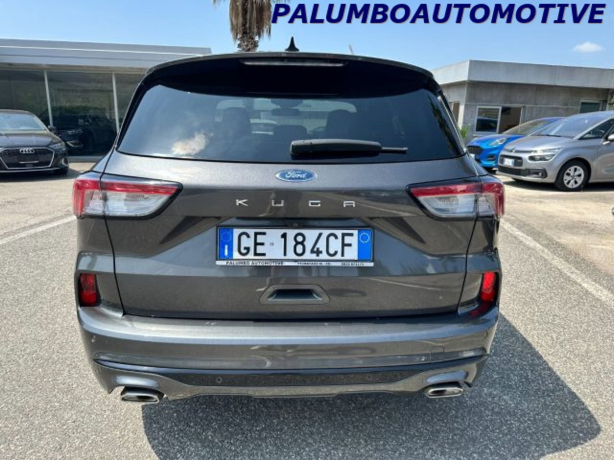 Ford Kuga 1.5 EcoBlue 120 CV 2WD ST-Line (6)