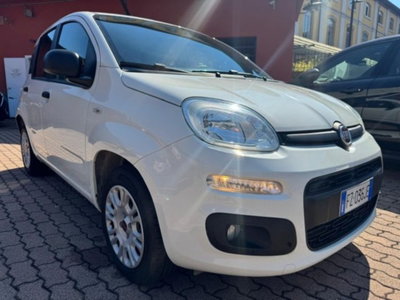 Fiat Panda 1.2 Easy Van 4 posti (2)