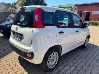 Fiat Panda 1.2 Easy Van 4 posti (4)