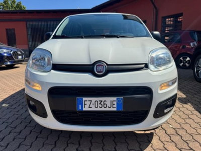 Fiat Panda 1.2 Easy Van 4 posti (6)
