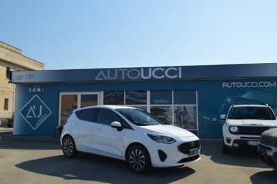 Ford Fiesta 1.1 75 CV GPL 5 porte Titanium (3)