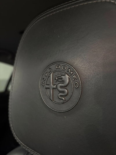 Alfa Romeo Stelvio Stelvio 2.2 Turbodiesel 190 CV AT8 Q4 Ti (16)