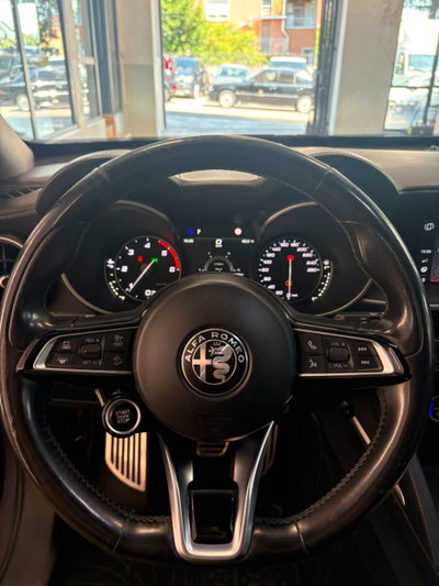 Alfa Romeo Stelvio Stelvio 2.2 Turbodiesel 190 CV AT8 Q4 Ti (20)