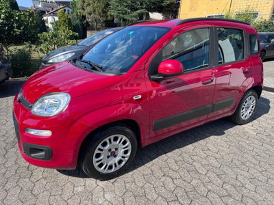 Fiat Panda 1.2 Lounge usata