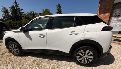 Peugeot 2008 PureTech 100 S&S Active usata
