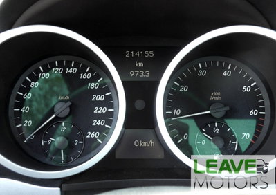 Mercedes-Benz SLK 200 Kompressor cat (11)