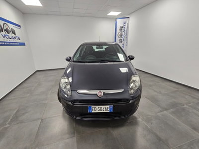 Fiat Punto Evo 1.4 5 porte Dynamic GPL (15)