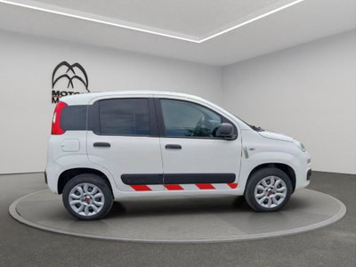 Fiat Panda van 0.9 Pop 85cv 4x4 2p.ti serie 4 E6d (4)