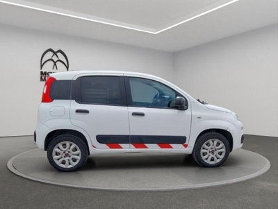 Fiat Panda van 0.9 Pop 85cv 4x4 2p.ti serie 4 E6d (4)