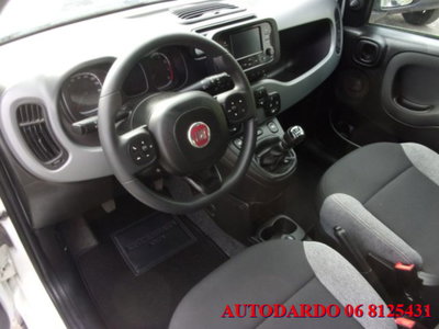 Fiat Panda 1.0 firefly hybrid s&s 70cv 5p.ti (12)