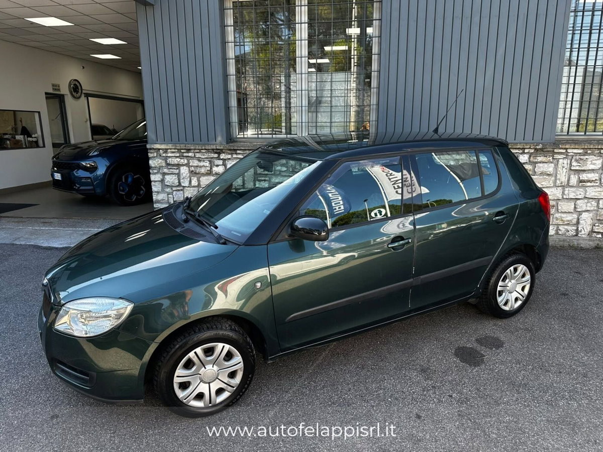 Skoda Fabia 1.4 TDI 80CV 5p. Style (3)