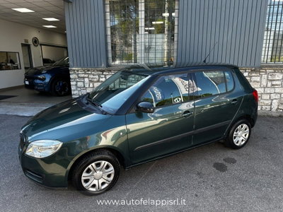 Skoda Fabia 1.4 TDI 80CV 5p. Style (3)