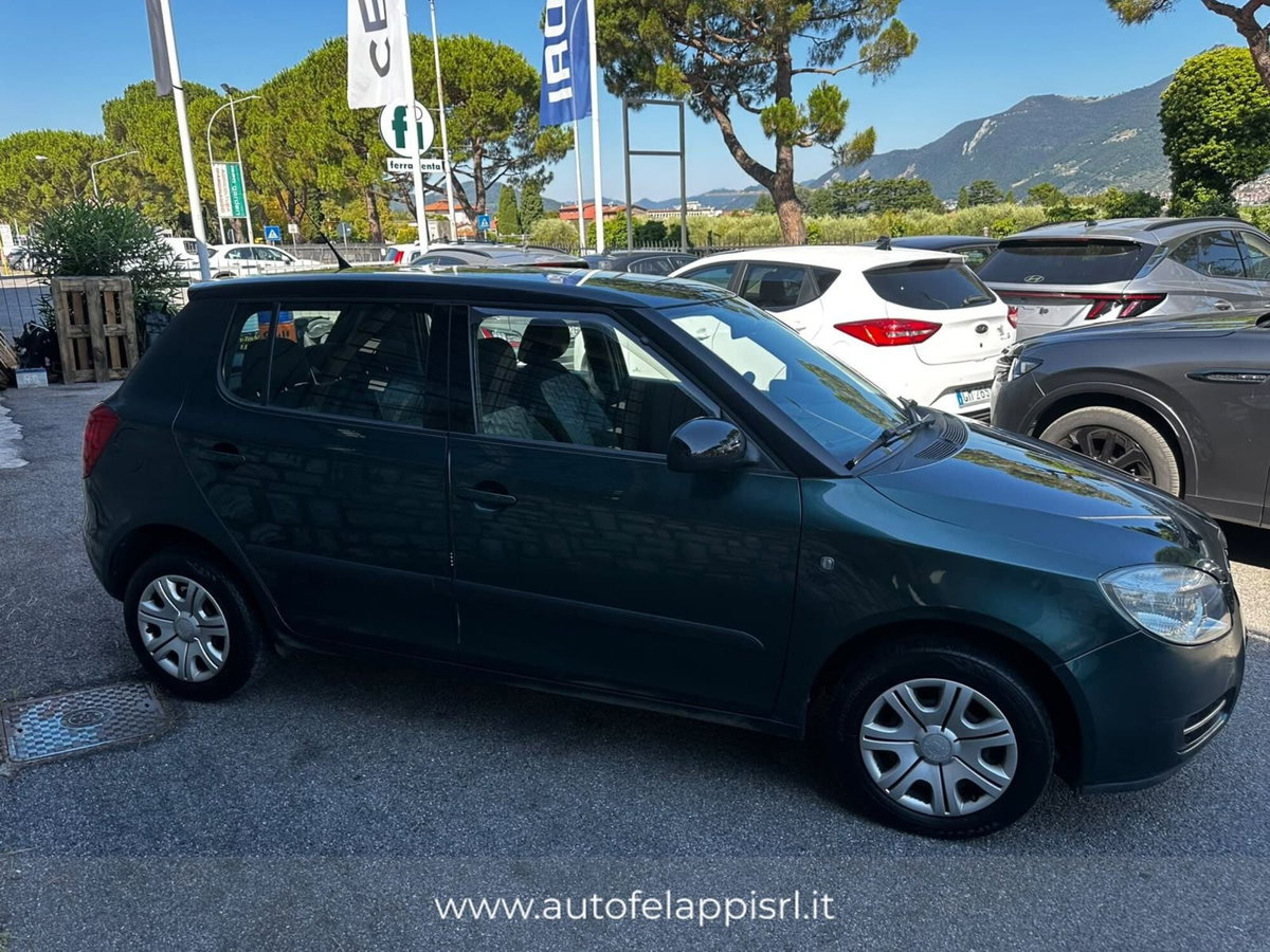 Skoda Fabia 1.4 TDI 80CV 5p. Style (4)