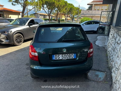 Skoda Fabia 1.4 TDI 80CV 5p. Style (7)