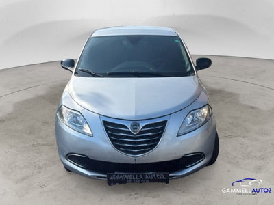 Lancia Ypsilon 1.2 69 CV 5 porte Gold usata