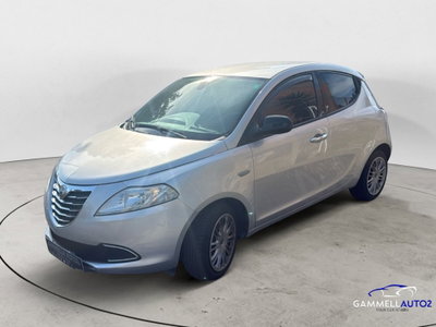 Lancia Ypsilon 1.2 69 CV 5 porte Gold (2)