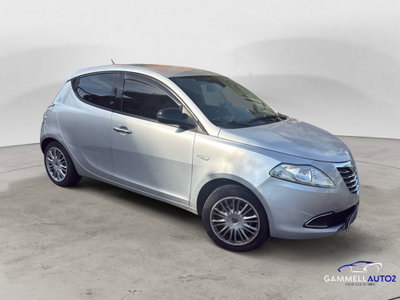 Lancia Ypsilon 1.2 69 CV 5 porte Gold (3)